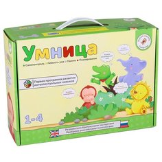 Обучающий набор Умница Умница. Программа развития интеллектуальных навыков