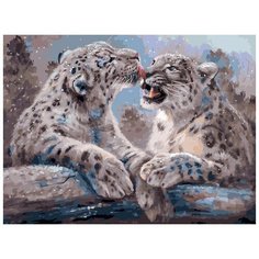 Белоснежка Картина по номерам Ирбисы, 30 х 40 см, 341-AS