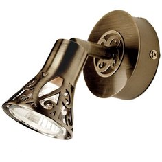 Спот Citilux Винон CL519513