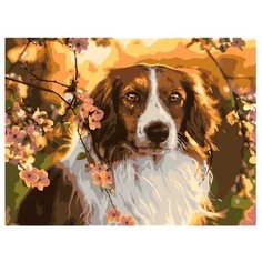 LORI раскраска по номерам Верность 28.5x38 см