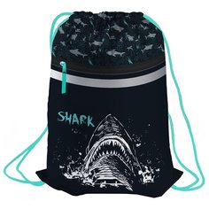 Berlingo Мешок для обуви Shark (MS09351) черный/бирюзовый