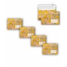 Конверт С5 №5 15 шт. ДАРИНЧИ