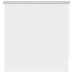 Рулонные шторы BLACKOUT / БЛЭКАУТ 40 см х 160 см Белый DECOFEST