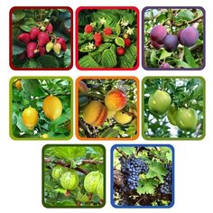 Прихватка "Ягоды-фрукты" (Фото) 8 диз МультиДом