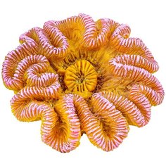 Коралл для аквариума Marvelous Aqva, К-120/3, 12×12×7 см
