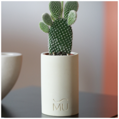 Кашпо для суккулентов Leo, 11x7x5, экобетон, слоновая кость Musko