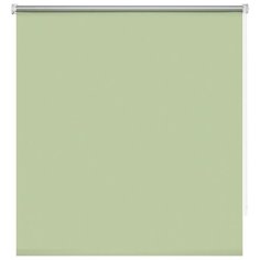 Рулонные шторы BLACKOUT / БЛЭКАУТ 40 см х 160 см Светло-зеленый Плайн DECOFEST