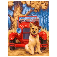 Раскрашивание, раскраски "ФРЕЯ" PNB/R2 №35 Набор для раскрашивания по номерам 40 х 30 см "Модный пёс"