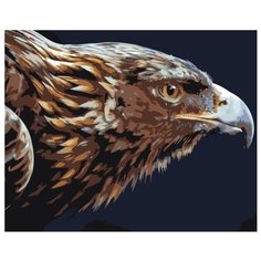 Голова летящего орла Раскраска картина по номерам на холсте Z-AB420 40х50