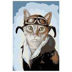 Пилот Раскраска картина по номерам на холсте A177 40х60