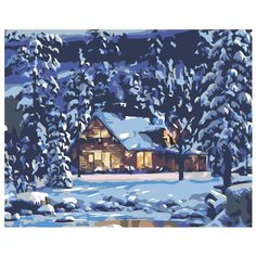 Сияние в ночи Раскраска по номерам на холсте Живопись по номерам NB04 40х50