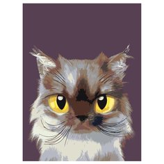 Ворчун Раскраска по номерам на холсте Живопись по номерам A560 30х40