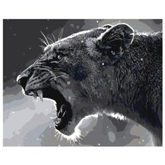 Черно-белая львица Раскраска картина по номерам на холсте Z-AB371 40х50