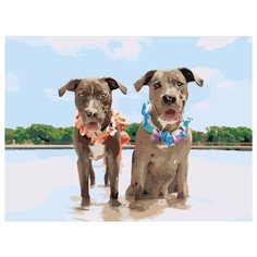 Две собаки на пляже Раскраска картина по номерам на холсте ets359-3040 30х40