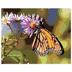 Бабочка на цветке Раскраска картина по номерам на холсте KTMK-butterfly01 40х50