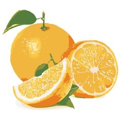 Сочный апельсин Раскраска по номерам на холсте Живопись по номерам KTMK-25626 40х50