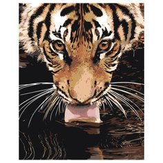 Лакающий тигр Раскраска картина по номерам на холсте Z-AB303 40х50