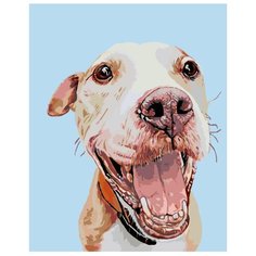 Салли Раскраска картина по номерам на холсте A154 40х50