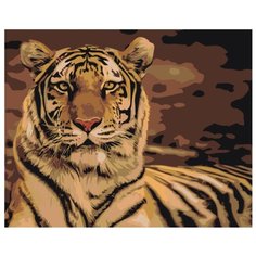 Тигр Раскраска картина по номерам на холсте Z-AB302 40х50