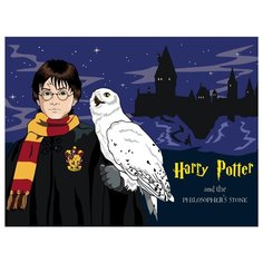 Школа волшебников Раскраска по номерам на холсте Живопись по номерам Z-101100232 30х40