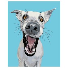 Фрэнки Раскраска картина по номерам на холсте A157 40х50