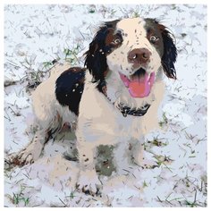 Собака породы бернский зенненхунд Раскраска картина по номерам на холсте ets480-3040 40х40