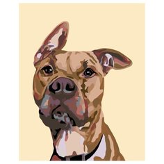 Нос по ветру Раскраска по номерам на холсте Живопись по номерам A243 40х50