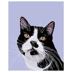 Василий Раскраска картина по номерам на холсте A310 40х50