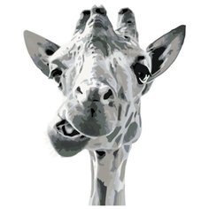 Веселый жираф Раскраска по номерам на холсте Живопись по номерам KTMK-351314 40х50