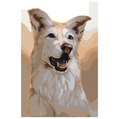 Смелый Раскраска по номерам на холсте Живопись по номерам Z-AB2 40х60