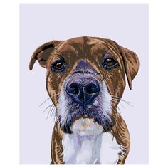 Амир Раскраска картина по номерам на холсте A254 40х50