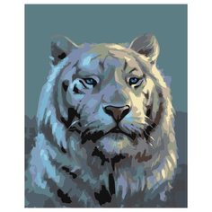 Белый тигр Раскраска картина по номерам на холсте Z-AB218 40х50