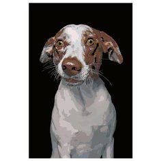 Молли Раскраска картина по номерам на холсте A168 40х60