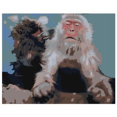 Серая обезьяна Раскраска картина по номерам на холсте Z-AB425 40х50