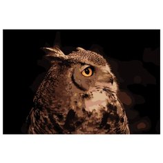 Голова филина Раскраска картина по номерам на холсте KTMK-sova011 40х60