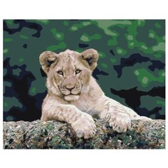 Довольный львенок Раскраска картина по номерам на холсте Z-AB367 40х50