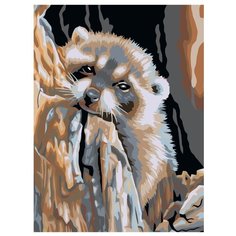 Енот мечтатель Раскраска по номерам на холсте Живопись по номерам A29 30х40
