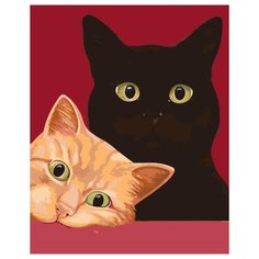 Любопытные котики Раскраска по номерам на холсте Живопись по номерам A451 40х50