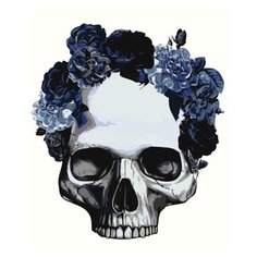 Череп Раскраска картина по номерам на холсте Z-AB347 40х50