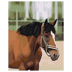 Гнедой конь Раскраска картина по номерам на холсте Z5742 40х50