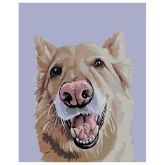 Джеймсон Раскраска картина по номерам на холсте A156 40х50