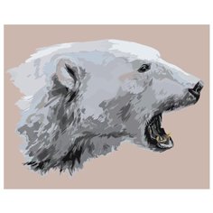 Белый медведь Раскраска картина по номерам на холсте Z-AB252 40х50
