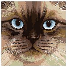 Голубоглазая мордочка Раскраска по номерам на холсте Живопись по номерам A384 40х40