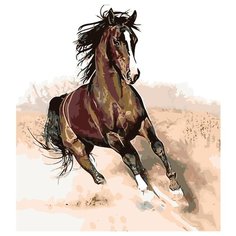 Пыль из-под копыт Раскраска по номерам на холсте Живопись по номерам KTMK-72563 40х50