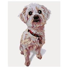 Тобиас Раскраска картина по номерам на холсте A236 40х50