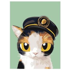 Капитан Раскраска по номерам на холсте Живопись по номерам A580 30х40