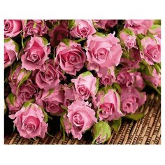 Картина по номерам Paintboy GX 34269 Большой букет розовых роз 40x50см