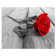 Картина по номерам Paintboy GX 21942 Брошенная роза 40x50см