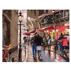 Картина по номерам RADUGA VA-0010 40х50см