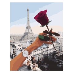 Картина по номерам RADUGA RDG-3148 40х50см